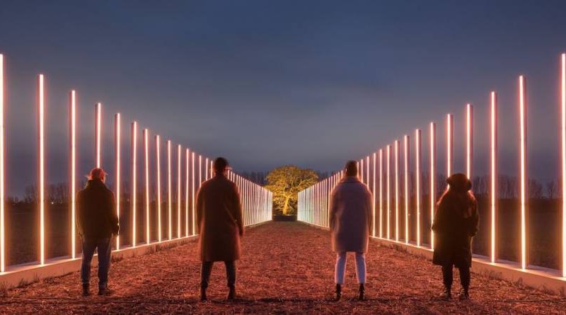 Illuminate Adelaide - Night Photography | PhotoCo Camera House