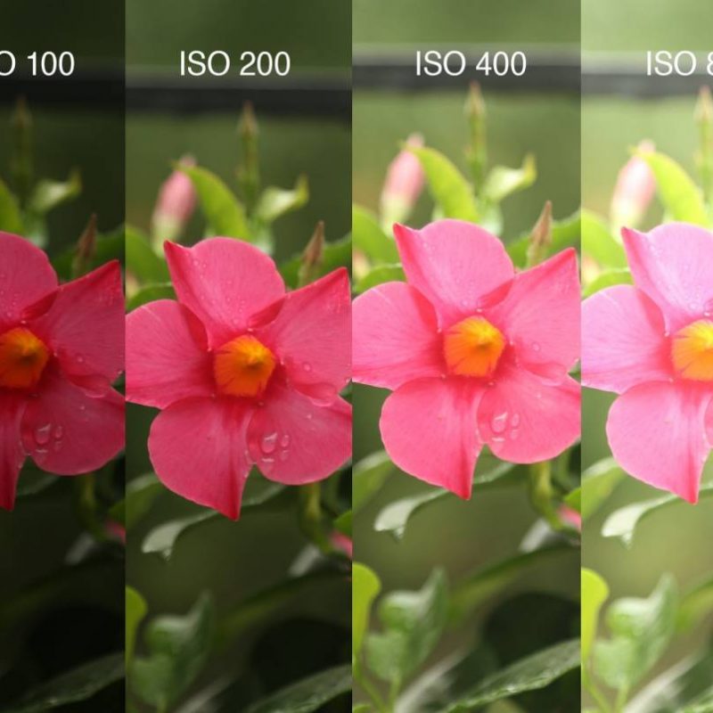 Film Speed example and tips and tricks | PhotoCo