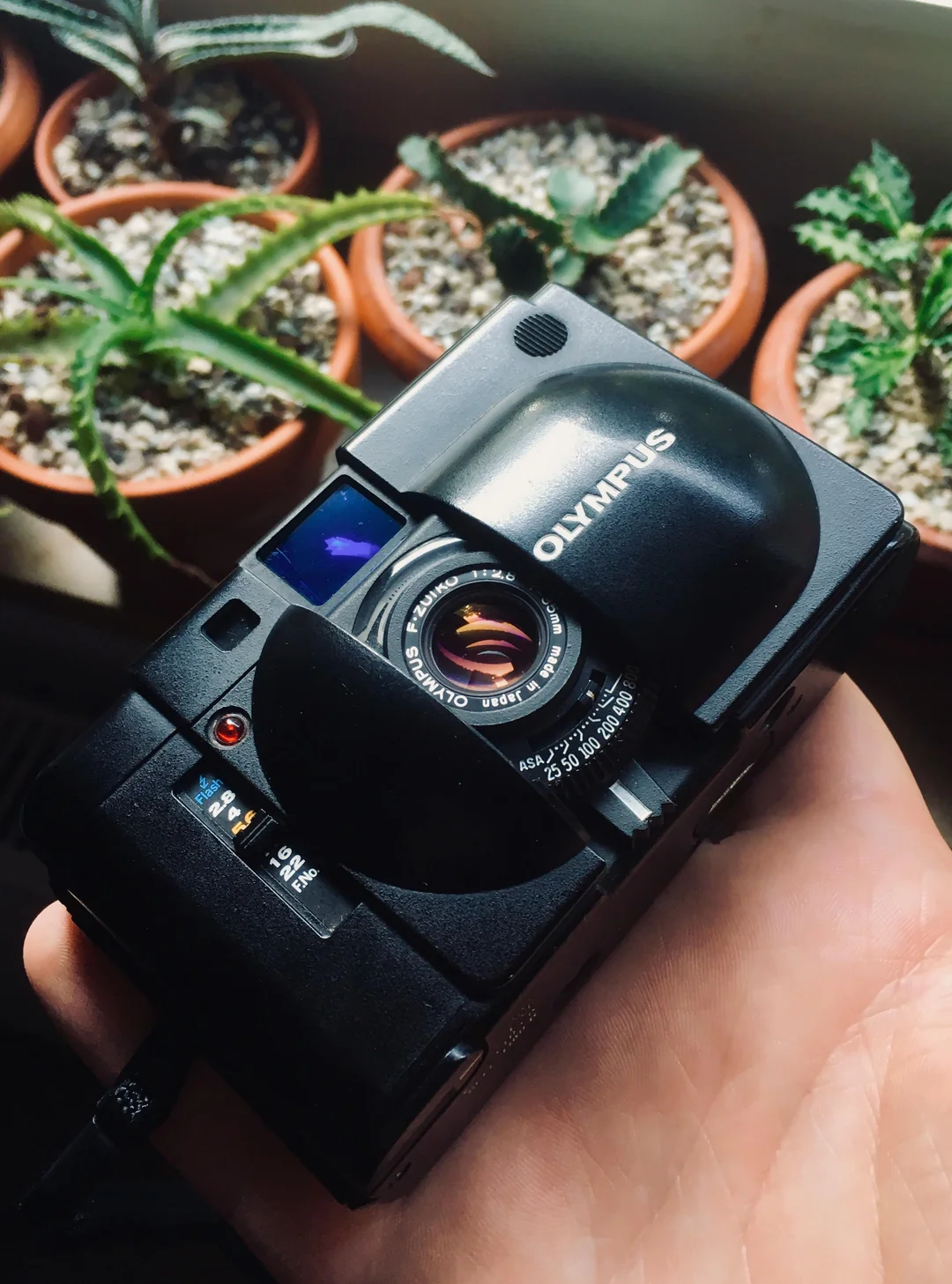 Olympus XA: The Cult Film Camera Still Worth It? - PhotoCo Camera Olympus XA: The Cult Film Camera Still Worth It? - PhotoCo Camera