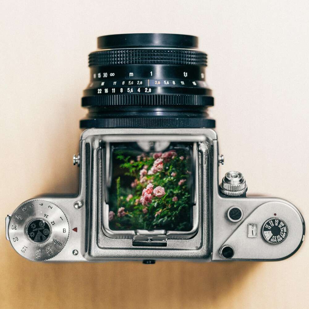 Nature photography