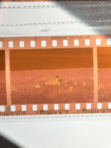 A strip of Kodak Ektar 100 film negative showing a landscape scene with a small structure and bushes. The film has perforations along the edges and is marked with 'Kodak Ektar 100' at the bottom.