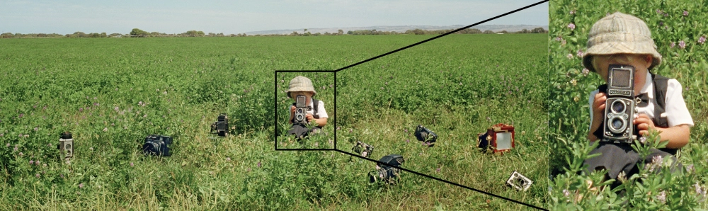A child wearing a hat sits in a green field holding a vintage camera up to their face, surrounded by various old cameras. A close-up inset shows the child's face and the camera in detail.