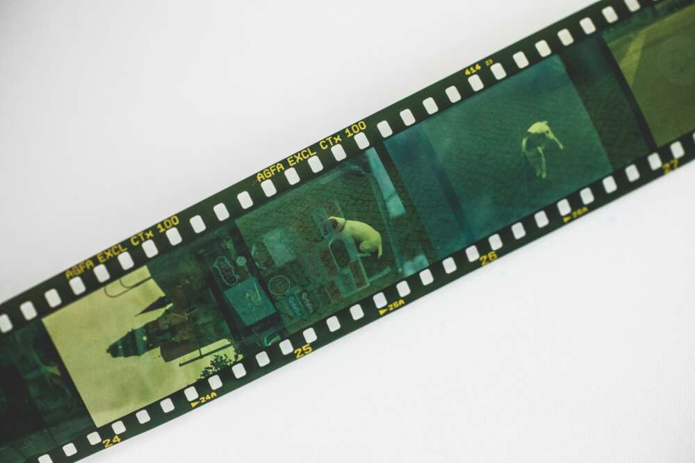 A strip of negative film exposed with various images, including a dog in an outdoor setting, resting on a white surface. The film is labeled "AGFA EXCL CTX 100."
