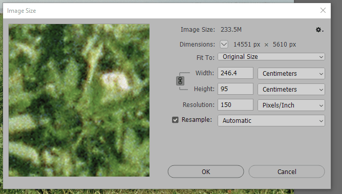 A screenshot of the Image Size dialog box showing an image with dimensions of 14551 x 5610 pixels, a width of 246.4 cm, height of 95 cm, resolution of 150 pixels per inch, and a file size of 233.5M. The Fit To option is set to Original Size, and Resample is checked with the setting Automatic.
