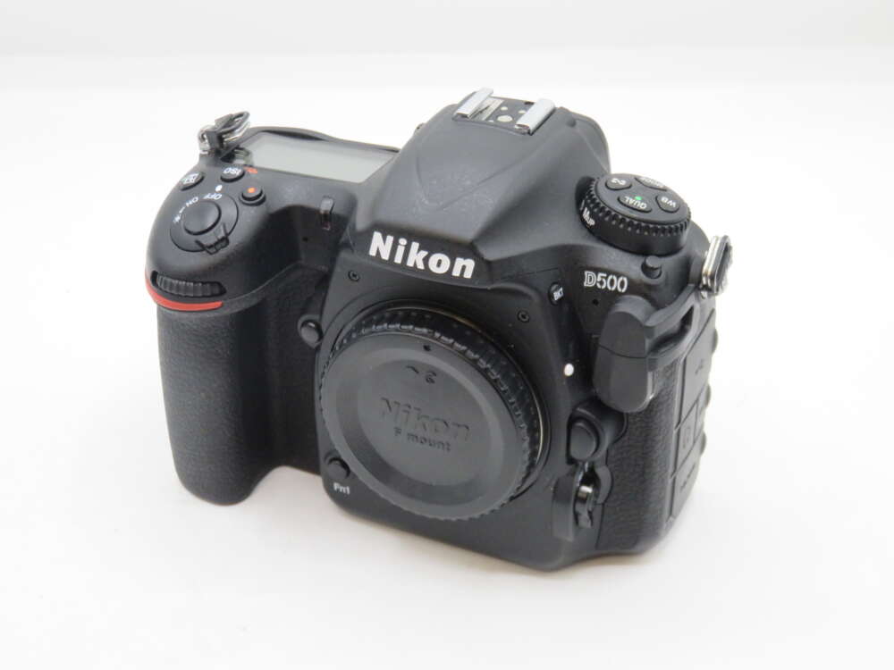 Wildlife Photography Nikon D7500 Review 2020 Bird Photography