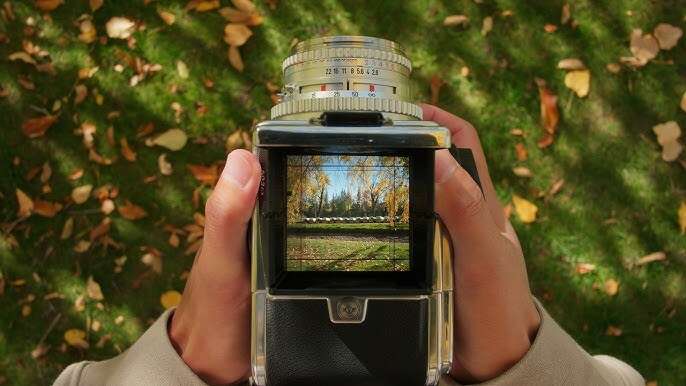 A person is holding a vintage camera showing an autumn landscape with trees and fallen leaves through its viewfinder. The background features green grass with scattered leaves, viewed from above.