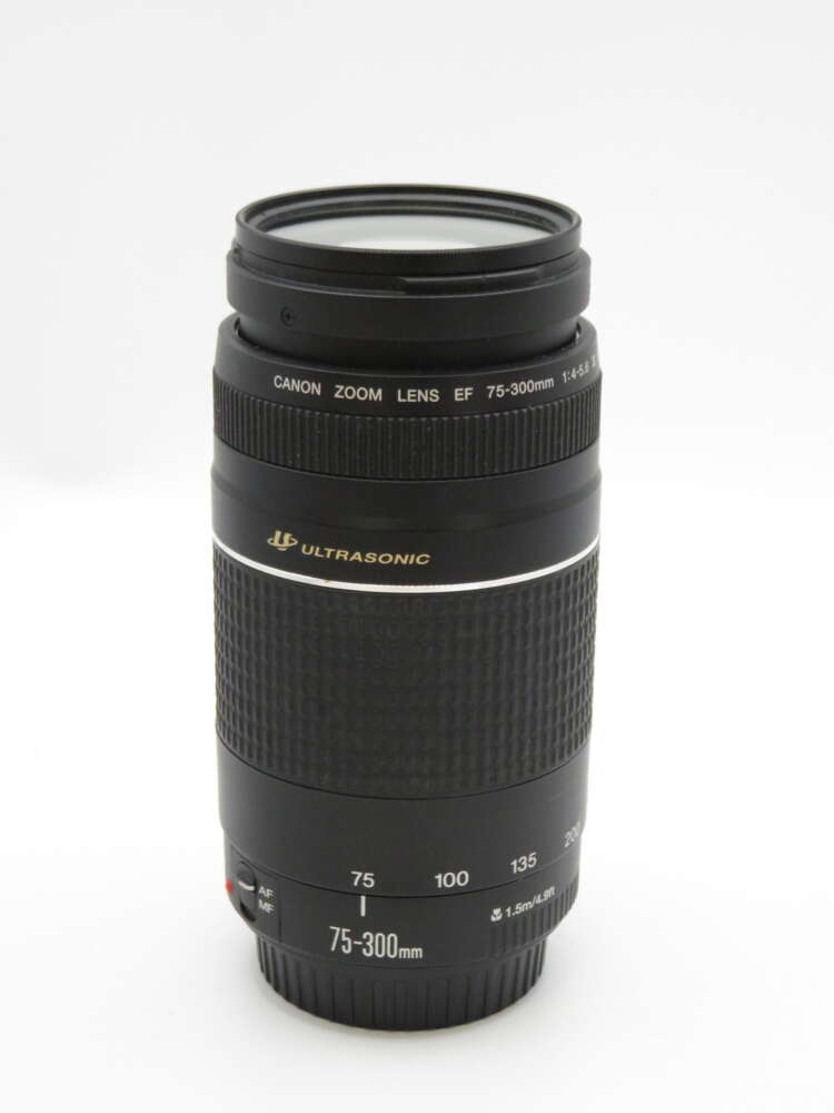 IMG_4201 A Canon EF 75-300mm ultrasonic zoom lens with visible zoom and focus rings.