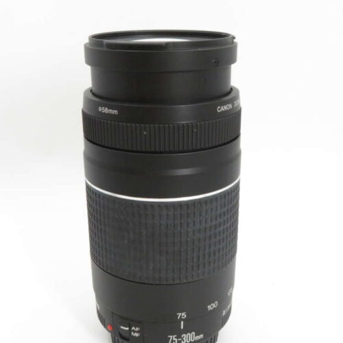 Canon EOS 75-300mm F4-5.6 III Lens