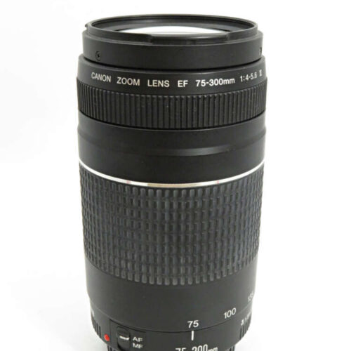 Canon EOS 75-300mm F4-5.6III
