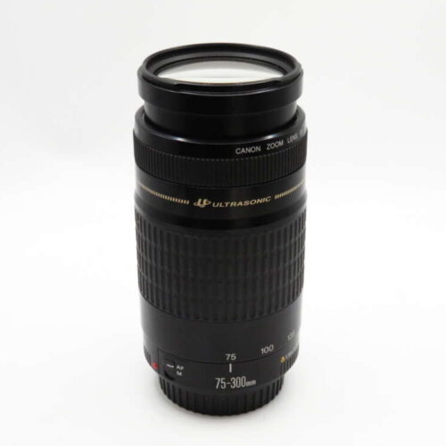 Canon EOS 75-300mm F4-5.6 Lens